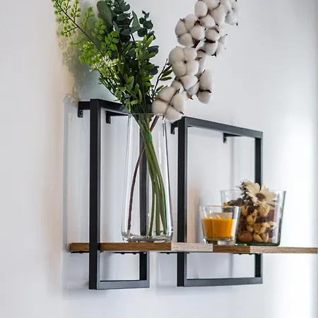 Mo Host Nest Braşov