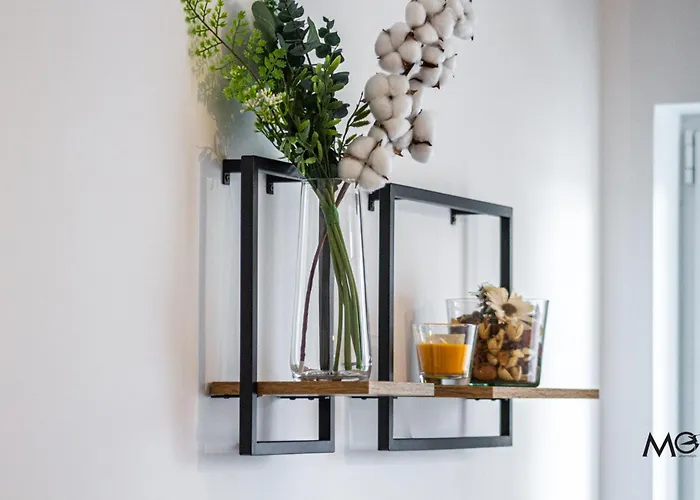 Mo Host Nest Braşov